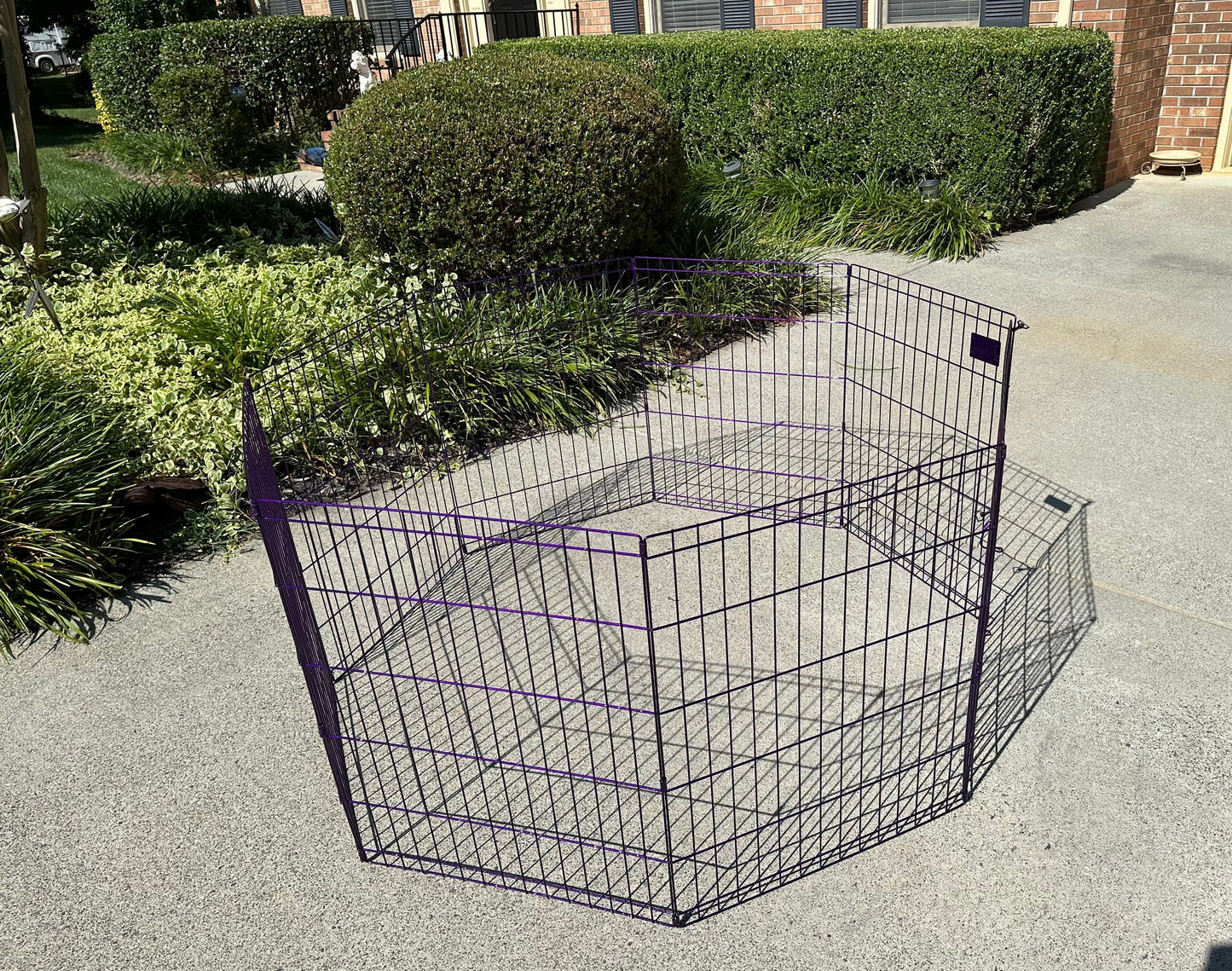 Ex Pen 42”